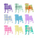 Pretty Plaid Pugs Shirts