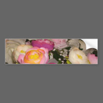Pretty plastic flowers of unknown type & breed bumper stickers