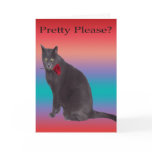 Pretty Please Cards