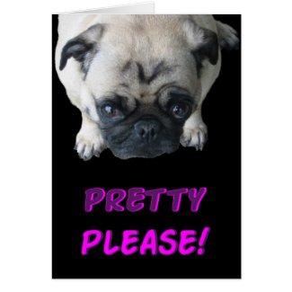 Pretty Please Pug