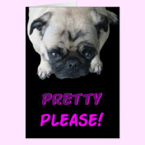 Pretty Please Pug cards