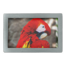 Pretty Polly Parrot Rectangular Belt Buckle
