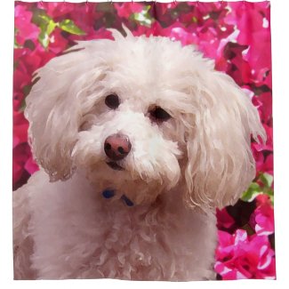 Pretty Poodle Shower Curtain