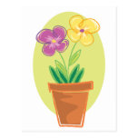 Pretty Pot Of Flowers Postcard