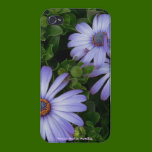 Pretty Purple Daisy -IPHONE 4 case iphone cases