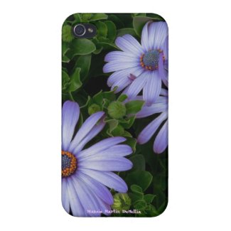 Pretty Purple Daisy -IPHONE 4 case