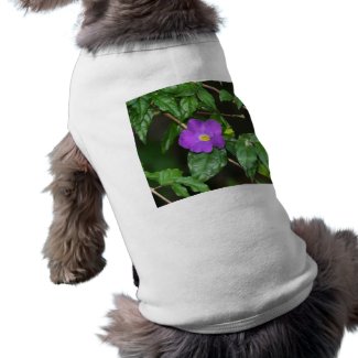 Pretty purple flower against dark background petshirt