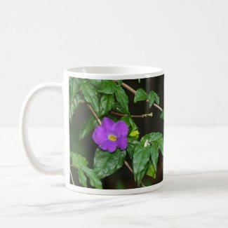 Pretty purple flower against dark background mug