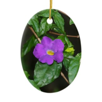 Pretty purple flower against dark background ornament