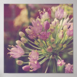 Pretty Purple Flower Print