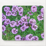 pretty purple flowers and bee mousepad mousepads