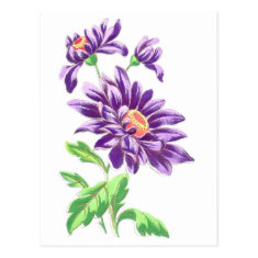 Pretty Purple Flowers Postcards