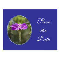 Pretty purple garden flower save the date wedding post cards