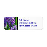 Pretty Purple Hyacinth Return Address Label
