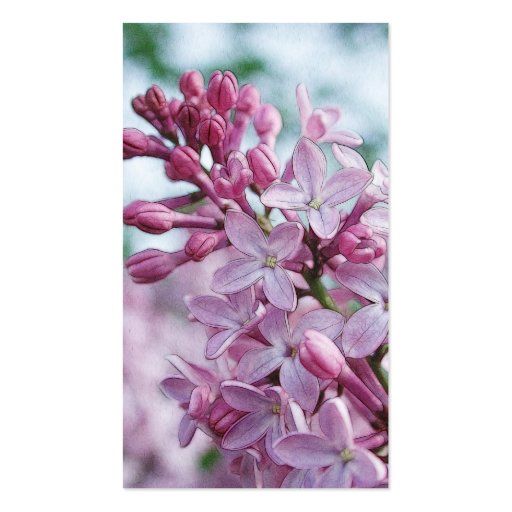 Pretty Purple Lilacs Business Card (back side)