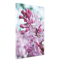Pretty Purple Lilacs Canvas Print