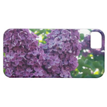 Pretty Purple Lilacs iPhone 5 Cover