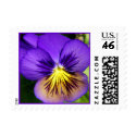 Pretty Purple Pansy Postage postage by dlgray Pretty Purple Pansy Postage postage