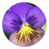Pretty Purple Pansy Stickers