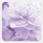 Pretty Purple Peony Stickers