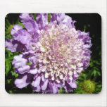 Pretty Purple Petals Mousepads