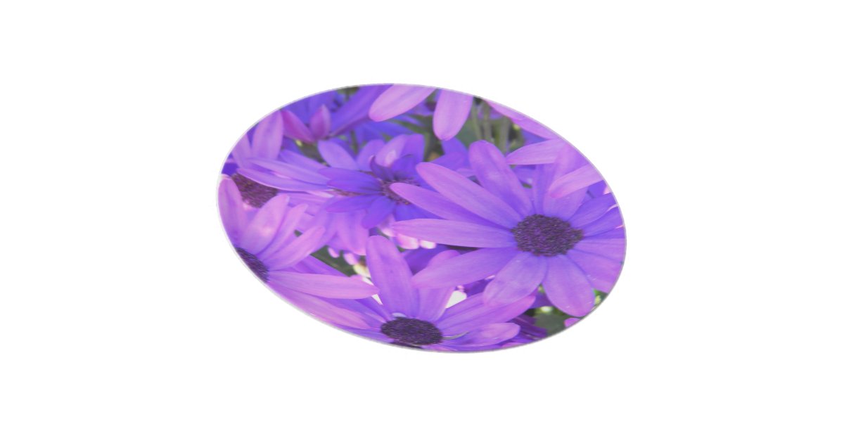 Pretty Purple Plate Zazzle 6591