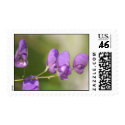 Pretty Purple Postage postage