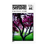 Pretty Purple Postage Stamp