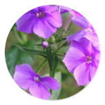 Pretty Purple Wildflowers Sticker