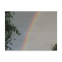 Pretty Rainbow postcard