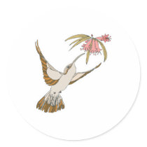 pretty realistic hummingbird stickers