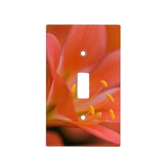 Pretty Red Clivia Flower Switch Plate Cover