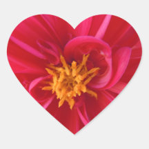 Pretty Red Dahlia Heart Stickers