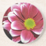 pretty red flower coaster coasters