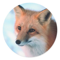 Pretty Red Fox Round Stickers
