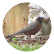 Pretty Robin stickers