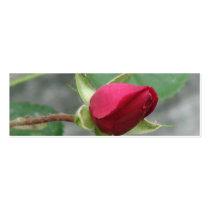 Pretty Rose Bookmark business cards by princessklb07 Pretty Rose Bookmark business cards