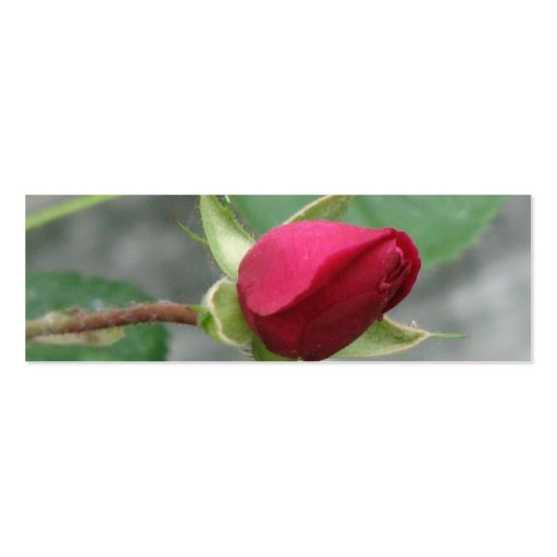 Pretty Rose Bookmark Business Cards