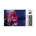 Pretty Rose Postage stamp