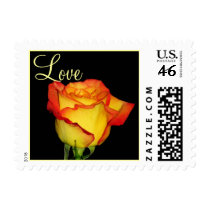 Pretty Rose postage