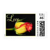 Pretty Rose postage