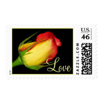 Pretty Rose postage