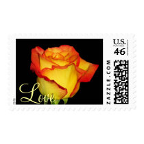 Pretty Rose postage