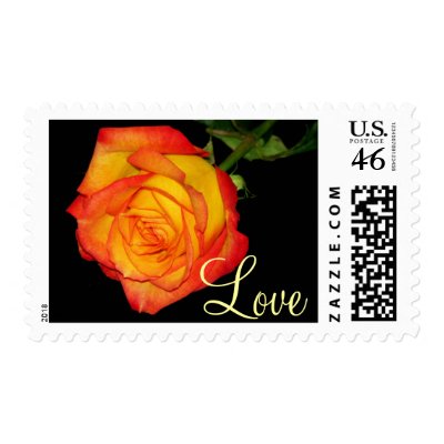 Pretty Rose Postage Stamp