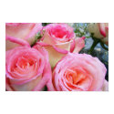 Pretty Roses posters