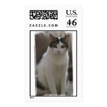 Pretty Sasha Postage Stamp
