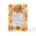 pretty shells cards