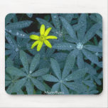 pretty single yellow flower mousepads