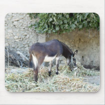 Pretty Spanish Donkey Charity mousepads