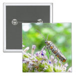 Pretty Spotted Ermine Moth on Agastache Pinback Buttons